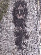 MSG0074님의 자유주제·자유게시판 작성글 사진