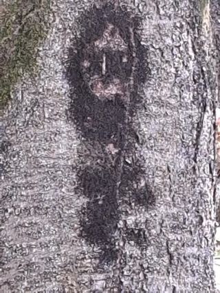 MSG0074님의 자유주제 · 자유게시판 작성글 사진