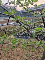 써니님의 자유주제·자유게시판 작성글 사진