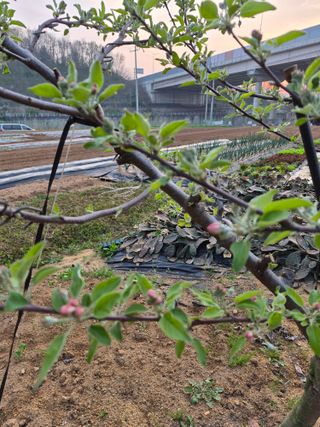 써니님의 자유주제 · 자유게시판 작성글 사진
