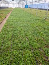 김민정님의 자유주제·자유게시판 작성글 사진