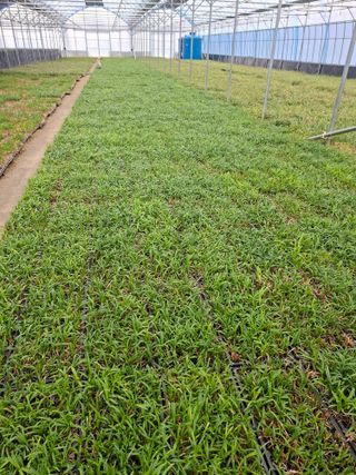 김민정님의 자유주제 · 자유게시판 작성글 사진