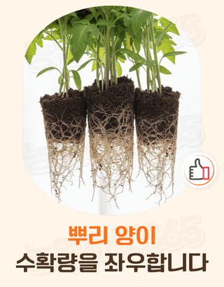 농업마켓365님의 작성글 사진