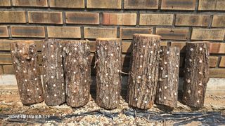 황규복(달구지)님의 자유주제·자유게시판 작성글 사진