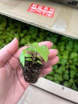 권희정님의 자유주제·자유게시판 작성글 사진