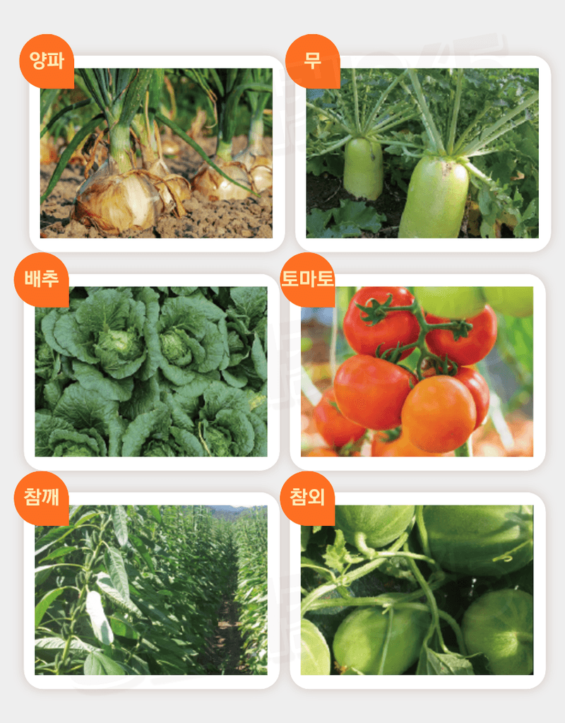 농업마켓365님의 장터 판매 상품 [텃밭애뿌리 1kg 뿌리활착 토양처리제 뿌리발근제 복합비료] 첨부 사진