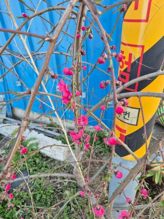 이정민님의 자유주제 · 사진전 작성글 사진