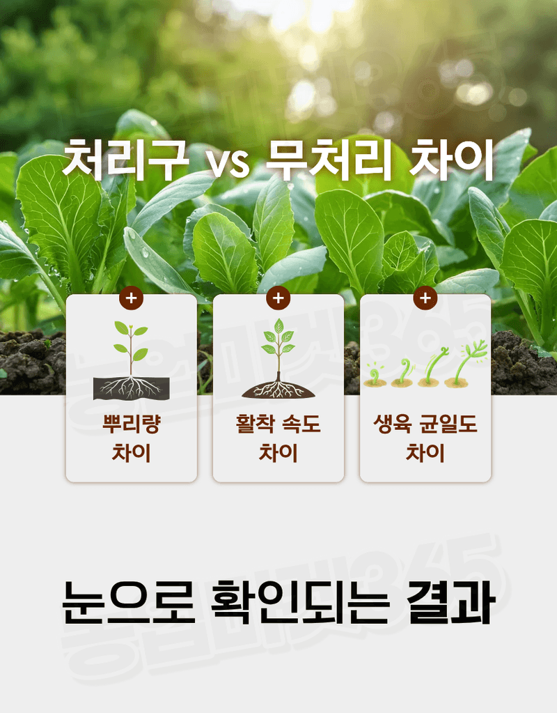 농업마켓365님의 장터 판매 상품 [텃밭애뿌리 1kg 뿌리활착 토양처리제 뿌리발근제 복합비료] 첨부 사진