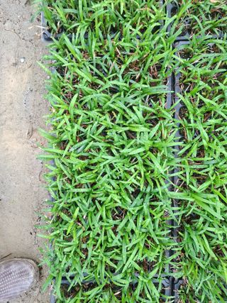 김민정님의 자유주제·자유게시판 작성글 사진