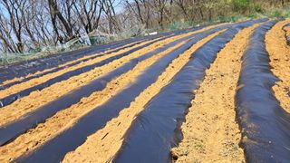 당진님의 자유주제 · 자유게시판 작성글 사진