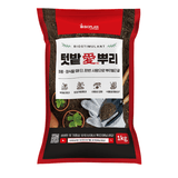 팜모닝 · 게시글 이미지
