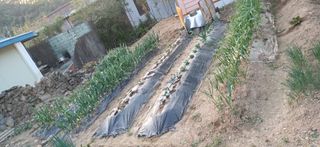 초보퍼머5도2촌준비님의 자유주제 · 자유게시판 작성글 사진