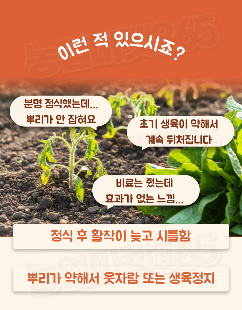 농업마켓365님의 장터 판매 상품 [텃밭애뿌리 1kg 뿌리활착 토양처리제 뿌리발근제 복합비료] 첨부 사진