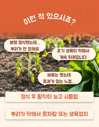농업마켓365님의 작성글 사진