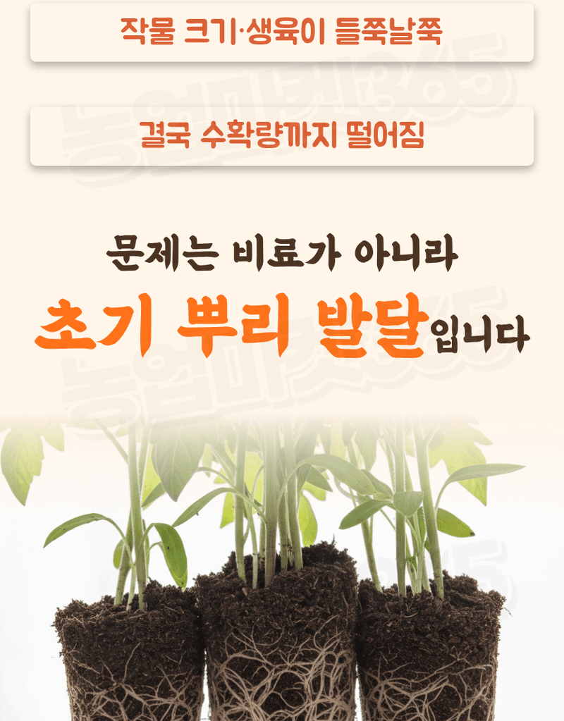 농업마켓365님의 장터 판매 상품 [텃밭애뿌리 1kg 뿌리활착 토양처리제 뿌리발근제 복합비료] 첨부 사진