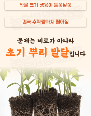 농업마켓365님의 작성글 사진