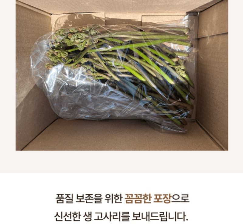 스피드번님의 장터 판매 상품 [생 고사리] 첨부 사진