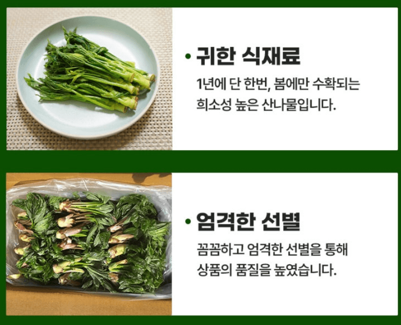 스피드번님의 장터 판매 상품 [개두릅 (엄나무순)] 첨부 사진