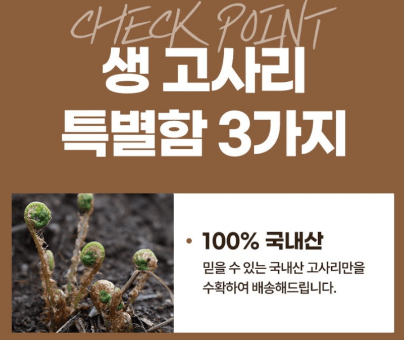 스피드번님의 장터 판매 상품 [생 고사리] 첨부 사진