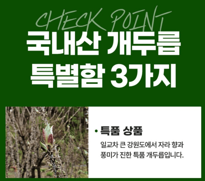 스피드번님의 장터 판매 상품 [개두릅 (엄나무순)] 첨부 사진