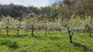 복주농장님의 자유주제 · 자유게시판 작성글 사진