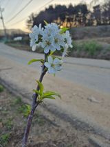 이정민님의 자유주제·사진전 작성글 사진