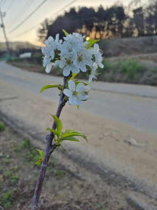 이정민님의 자유주제 · 사진전 작성글 사진