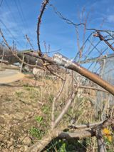 팜모닝 자유주제·자유게시판 게시글 이미지