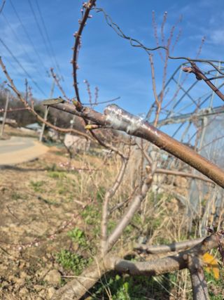 이정민님의 자유주제 · 자유게시판 작성글 사진