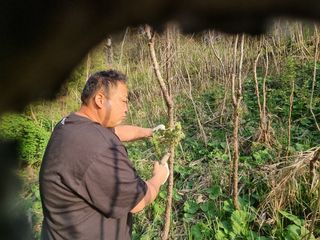 최한섭님의 자유주제 · 자유게시판 작성글 사진