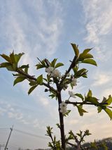 써니님의 자유주제·자유게시판 작성글 사진