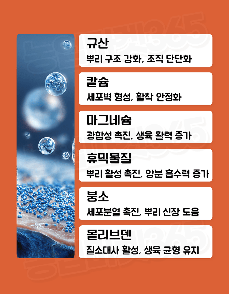 농업마켓365님의 장터 판매 상품 [텃밭애뿌리 1kg 뿌리활착 토양처리제 뿌리발근제 복합비료] 첨부 사진