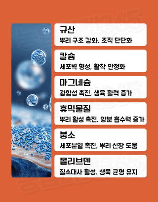 농업마켓365님의 작성글 사진