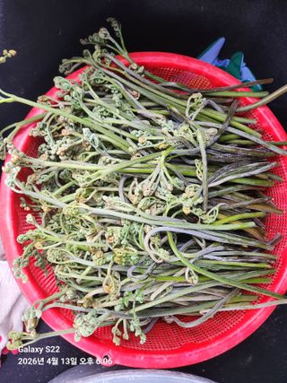 상태메롱님의 자유주제 · 자유게시판 작성글 사진