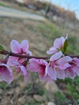 이정민님의 자유주제·사진전 작성글 사진