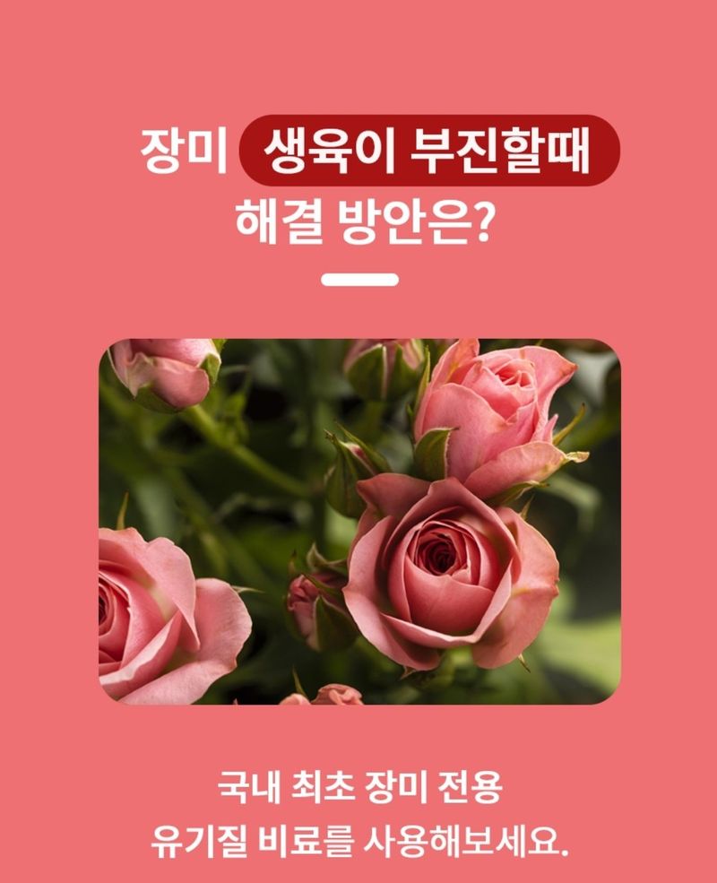 자재스토어님의 장터 판매 상품 [장미 비료 로즈골드 20kg 미니 수국 화훼용 꽃 유기질] 첨부 사진