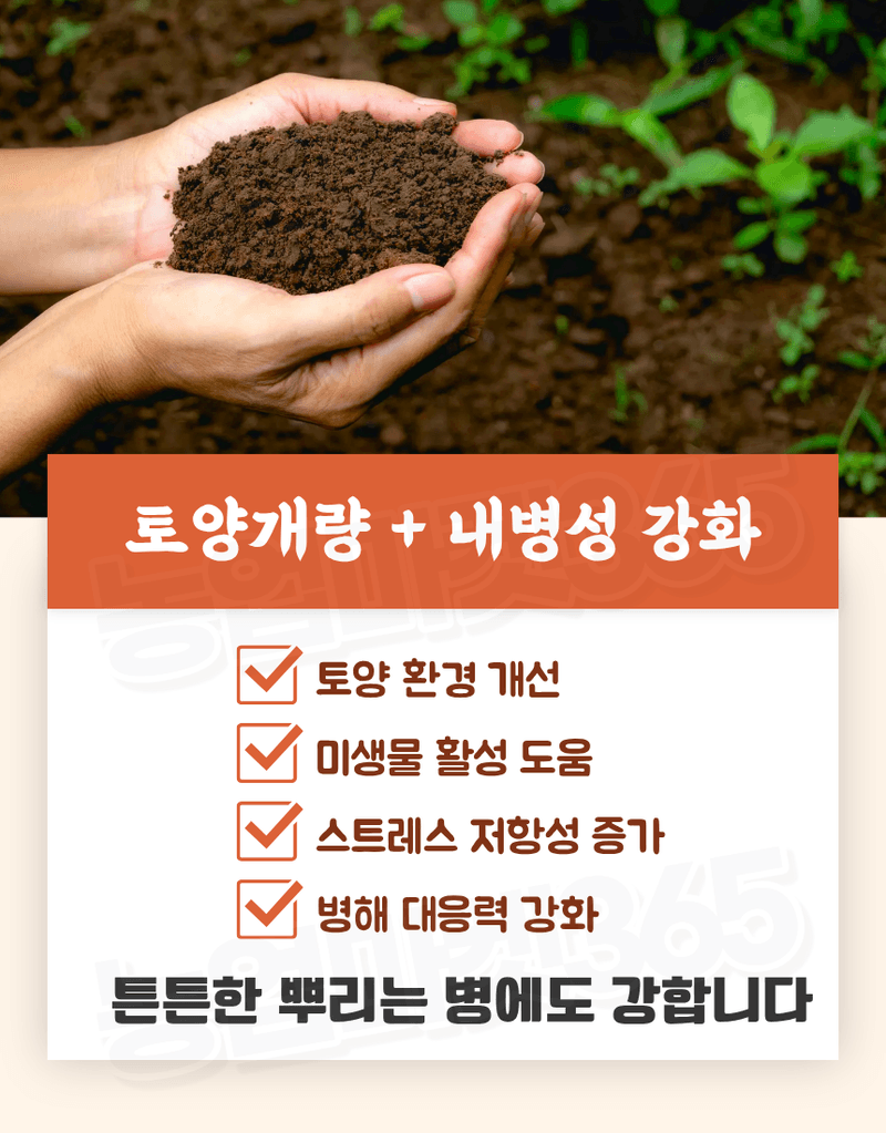 농업마켓365님의 장터 판매 상품 [텃밭애뿌리 1kg 뿌리활착 토양처리제 뿌리발근제 복합비료] 첨부 사진