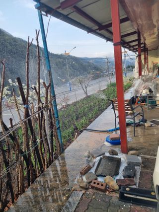 김용대님의 자유주제 · 자유게시판 작성글 사진