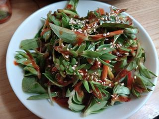 금동이네님의 자유주제 · 자유게시판 작성글 사진