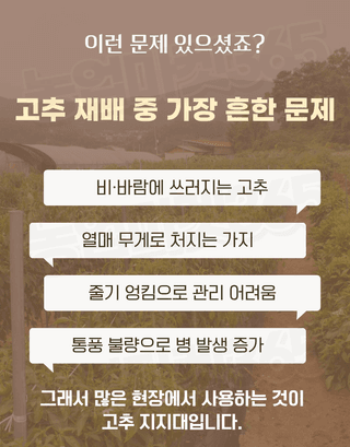 농업마켓365님의 작성글 사진