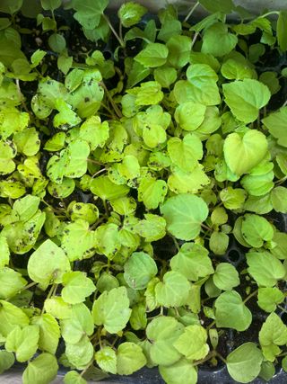 권희정님의 자유주제 · 자유게시판 작성글 사진