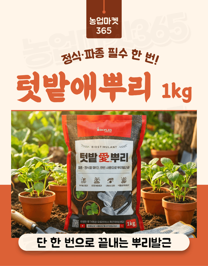 농업마켓365님의 장터 판매 상품 [텃밭애뿌리 1kg 뿌리활착 토양처리제 뿌리발근제 복합비료] 첨부 사진