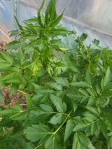 유경임님의 자유주제·자유게시판 작성글 사진