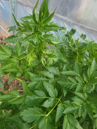 유경임님의 자유주제 · 자유게시판 작성글 사진