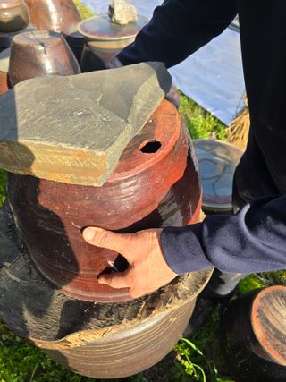 비타민님의 자유주제·자유게시판 작성글 사진