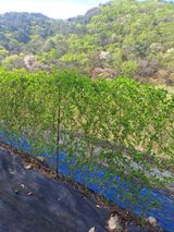 이식현님의 자유주제·자유게시판 작성글 사진