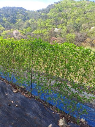 이식현님의 자유주제 · 자유게시판 작성글 사진