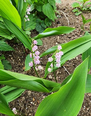고추건조기부품님의 자유주제 · 자유게시판 작성글 사진