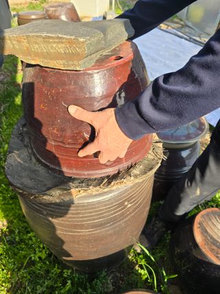 비타민님의 자유주제 · 자유게시판 작성글 사진