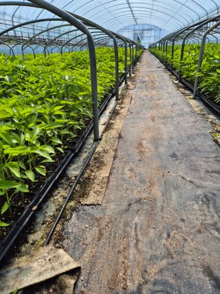 김영진(전남영광)님의 자유주제 · 자유게시판 작성글 사진